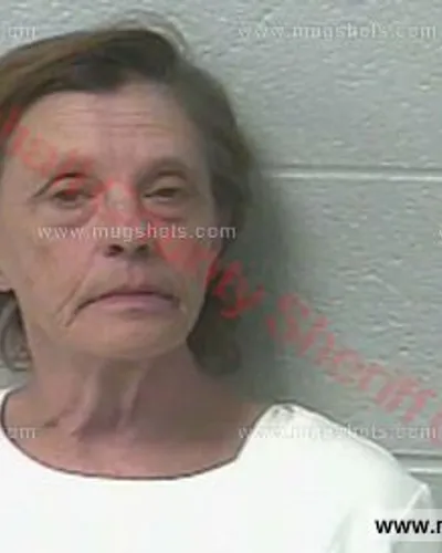 Most recent booking photo for Ivy Elizabeth Shultz