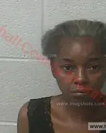 Booking photo of Evelyn Denise Mitchell, Marshall County, Nov 22, 2016