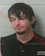 Booking photo of LARRY LEE NEWSOM, Marshall County, Mar 14, 2016