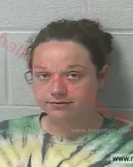 Booking photo of AMANDA DAWN DALTON, Marshall County, May 17, 2016