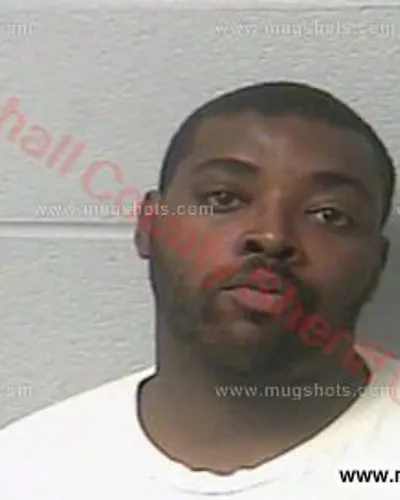 Booking photo of Eric James Lewis Bogle, Marshall County, May 14, 2016