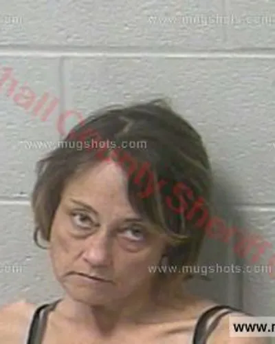 Booking photo of Monica Miller, Marshall County, Feb 1, 2017