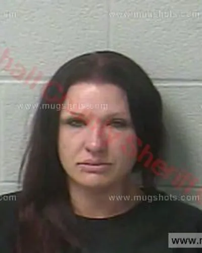 Booking photo of Shannon Brink, Marshall County, Apr 23, 2018