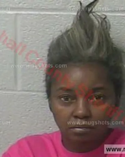 Booking photo of Evelyn Denise Mitchell, Marshall County, Nov 29, 2017