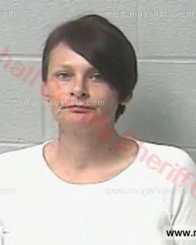 Booking photo of Heather Haley, Marshall County, Feb 19, 2017