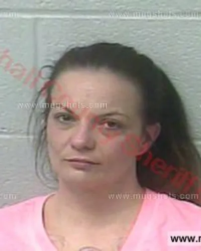 Booking photo of Alicia Danielle Flickinger, Marshall County, Feb 20, 2017