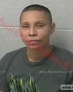 Booking photo of Denise Michelle Smith, Marshall County, Nov 4, 2017