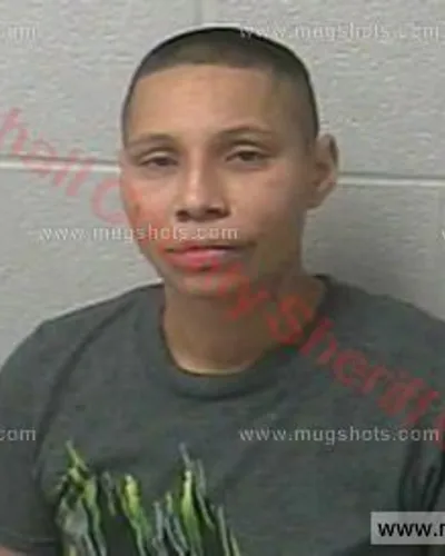 Booking photo of Denise Michelle Smith, Marshall County, Nov 4, 2017