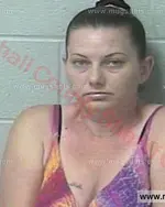 Booking photo of Crystal Michelle Ward, Marshall County, Apr 20, 2017