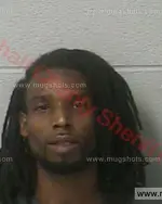 Booking photo of Aaron Eugene Fitzgerald, Marshall County, Jun 5, 2017