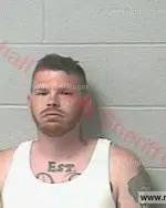 Booking photo of Adam Daniel Johnson, Marshall County, Apr 19, 2017