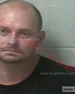 Booking photo of Pauline Johnson, Marshall County, Nov 30, 2017