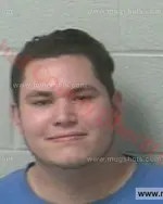 Booking photo of Bryan Keith Westmoreland, Marshall County, Jun 28, 2018