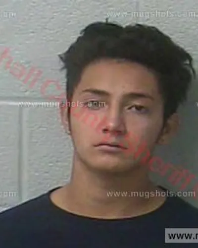 Booking photo of Gerson Salgado, Marshall County, Nov 2, 2017