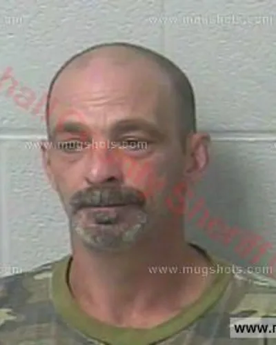 Booking photo of Alvin Mcgee, Marshall County, Feb 15, 2016