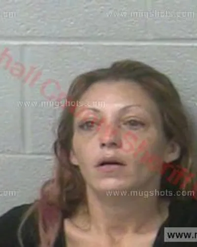 Booking photo of Tara Michelle Rowe, Marshall County, Jul 26, 2017