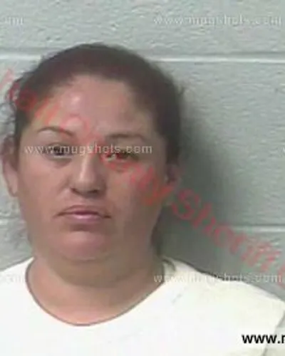 Booking photo of Wendy Meneses, Marshall County, Mar 2, 2016