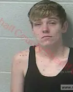 Booking photo of Brittany Nicole Rohlman, Marshall County, Jul 30, 2017