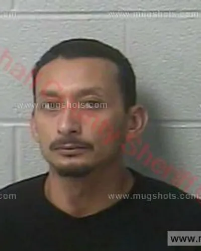 Booking photo of Alejandro Pedrego, Marshall County, Feb 26, 2018