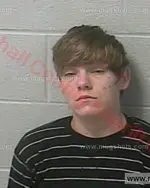 Booking photo of Brittany Nicole Rohlman, Marshall County, Sep 28, 2017