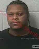 Booking photo of Ashley Lamont Reynolds, Marshall County, Dec 22, 2016