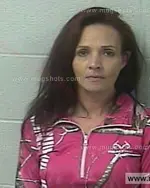 Booking photo of Elizabeth Ann Jett, Marshall County, Feb 17, 2019