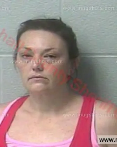 Booking photo of Carrie Sandlin, Marshall County, Feb 25, 2017