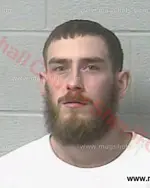 Booking photo of Trevor Logan Carter, Marshall County, Apr 5, 2016