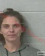 Booking photo of Callie Michelle Haynes, Marshall County, May 24, 2017