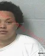 Booking photo of Sabrina Elizabeth Rhodes, Marshall County, May 19, 2016