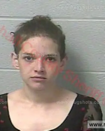 Booking photo of Elizabeth Ann Wise, Marshall County, Mar 18, 2017