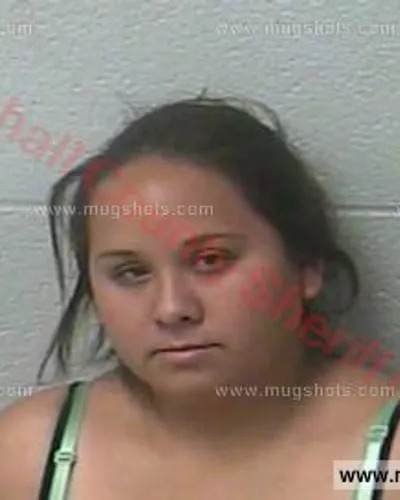 Booking photo of Cecilia Velasquez, Marshall County, Nov 25, 2016