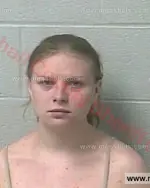 Booking photo of Sydnee Julia Dyer, Marshall County, Feb 23, 2017