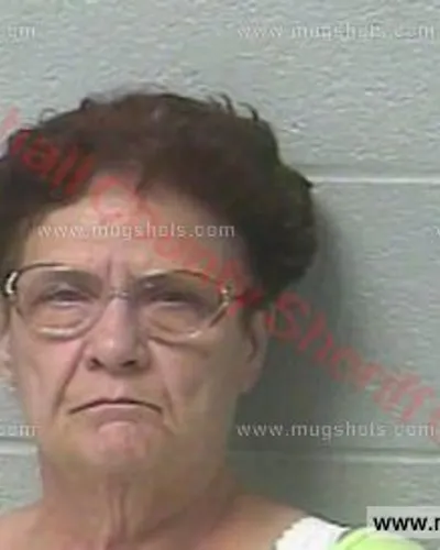 Booking photo of Connie Sue Hill, Marshall County, May 11, 2017