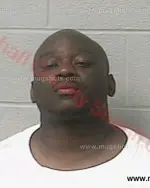 Booking photo of Travis Edward Jackson, Marshall County, Aug 27, 2017