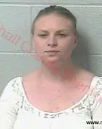 Booking photo of Sydnee Julia Dyer, Marshall County, Apr 8, 2017