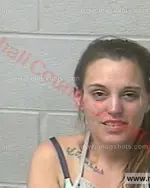 Booking photo of STEPHANIE MICHELLE LEE, Marshall County, Dec 15, 2017