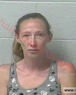 Booking photo of Amanda Irene Beard, Marshall County, Jul 23, 2016