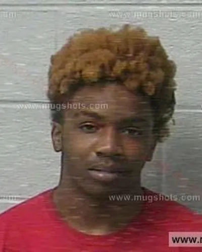 Booking photo of MICHAEL CHRISTOPHER FEARS, Marshall County, Mar 14, 2020