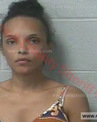 Booking photo of Crystal Dawn Alexander, Marshall County, Jul 13, 2016