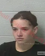 Booking photo of Elizabeth Ann Wise, Marshall County, Nov 21, 2016