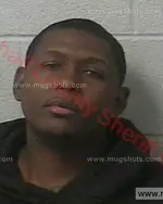 Booking photo of Brian L Harrison, Marshall County, Jan 3, 2018