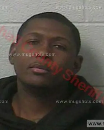 Booking photo of Brian L Harrison, Marshall County, Jan 3, 2018