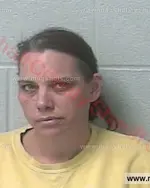 Booking photo of Melanie Lynn Wilson, Marshall County, Mar 26, 2016