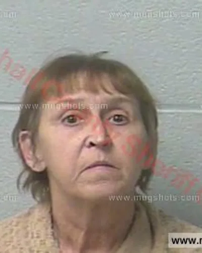 Booking photo of Shelley Paine, Marshall County, Aug 27, 2016