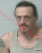 Booking photo of Sydney Dalton Reeves, Marshall County, May 5, 2018