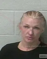 Booking photo of Shannon Nicole Johnson, Marshall County, Dec 8, 2019