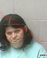 Booking photo of Tina Marie Davis, Marshall County, Dec 29, 2016