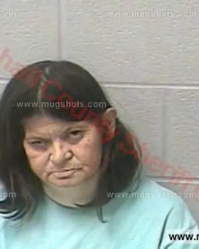 Booking photo of Tina Davis, Marshall County, Dec 29, 2016