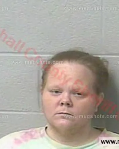 Booking photo of Belinda Freeman, Marshall County, Feb 25, 2017